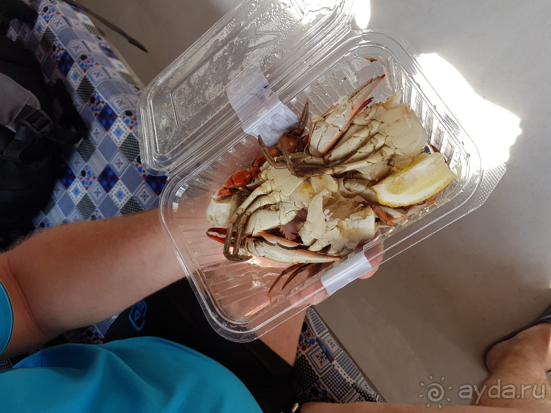 Альбом истории "Дальян в Турции"