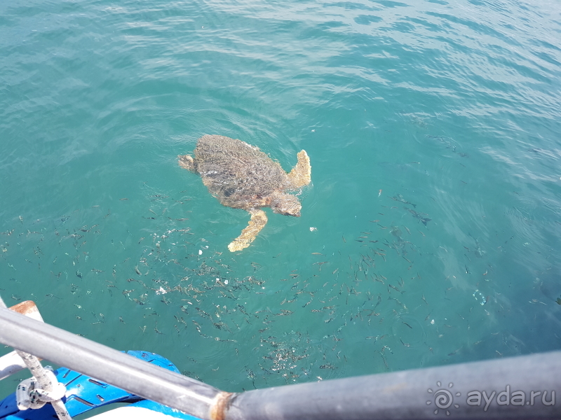 Дальян в Турции