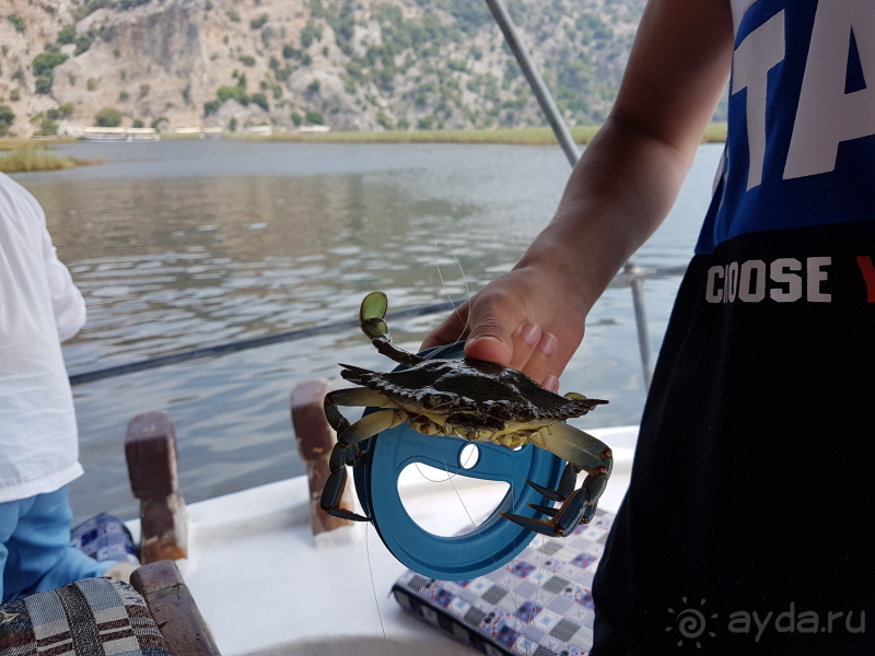 Дальян в Турции