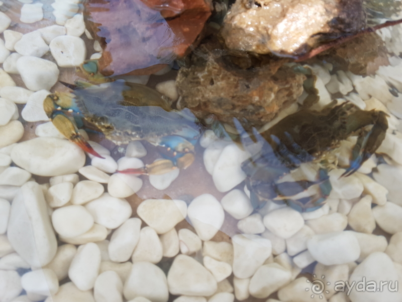 Дальян в Турции