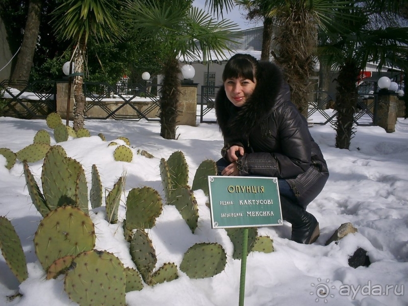 Круглогодично отлично!