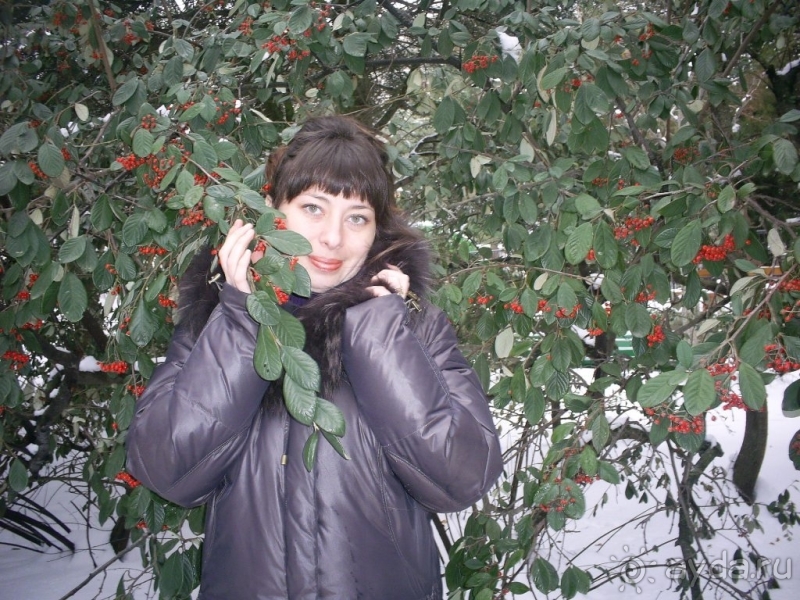 фото Черноморье