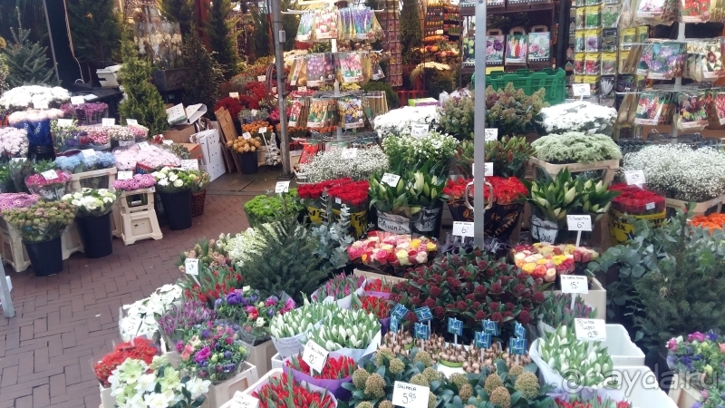 Рождественский Амстердам