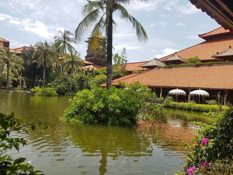 Самый лучший отель!