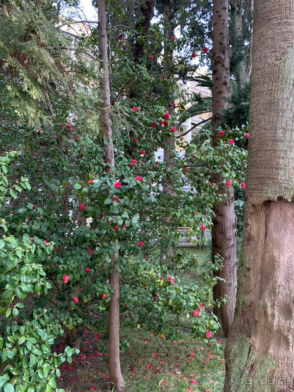 Самый хороший санаторий!