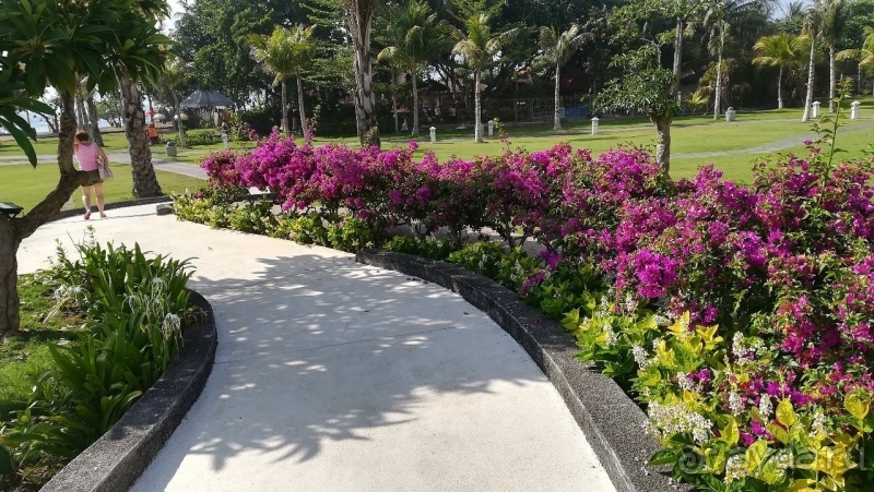 Все отлично, но...