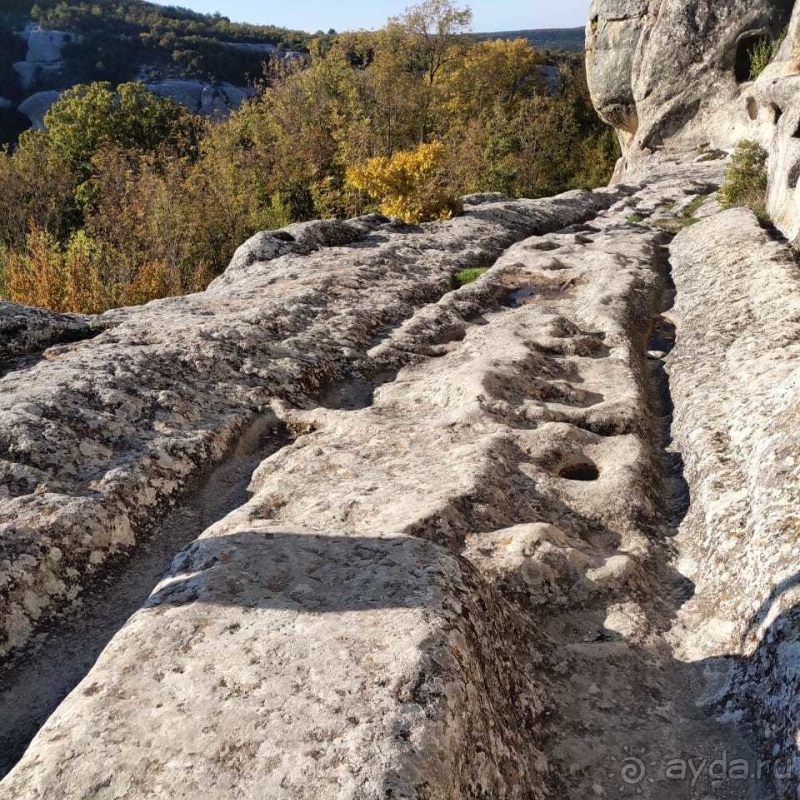 Дорога города