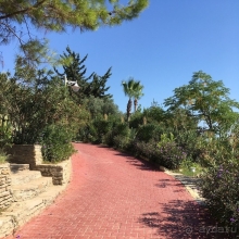 Любовь с первого взгляда