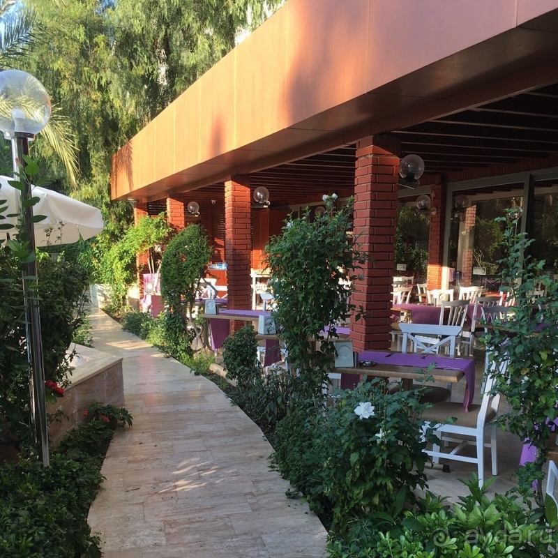 Любовь с первого взгляда