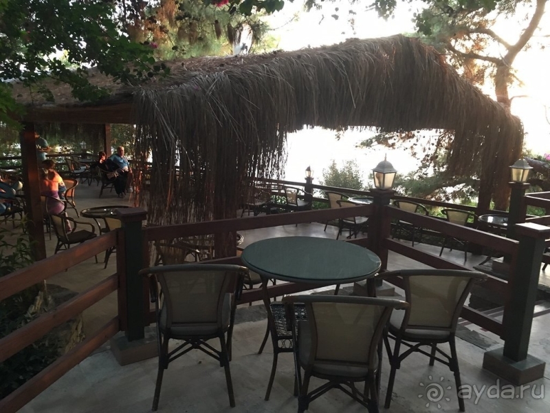 Любовь с первого взгляда