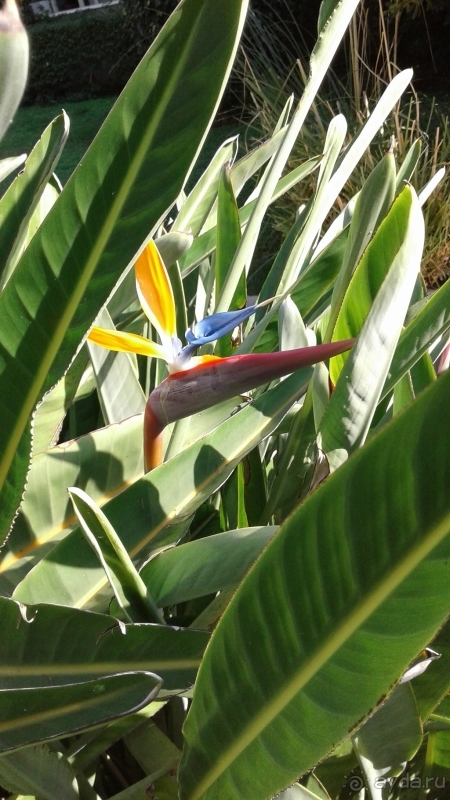 Очень достойно в данной ценовой категории