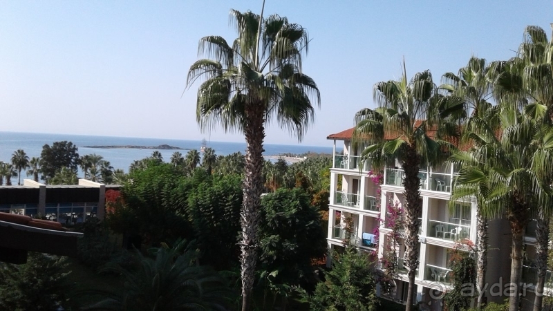 Очень достойно в данной ценовой категории