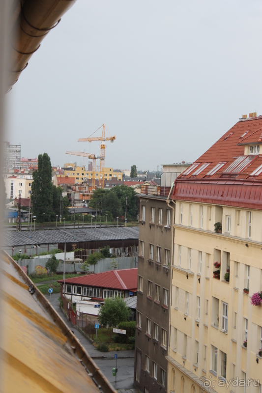 Прекрасный и уютный отель, хорошее соотношение цена/качество