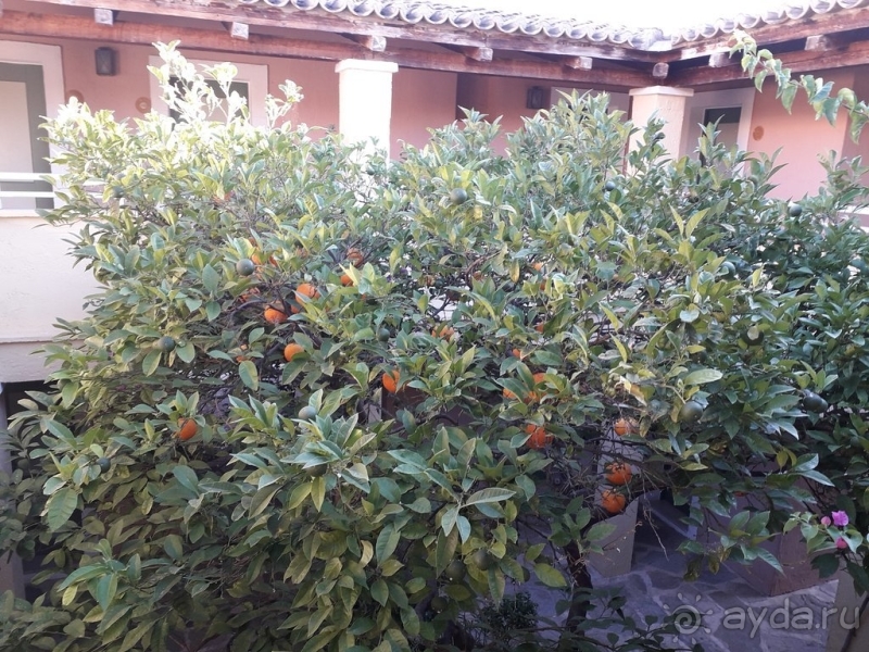 Отличный отдых на Крите