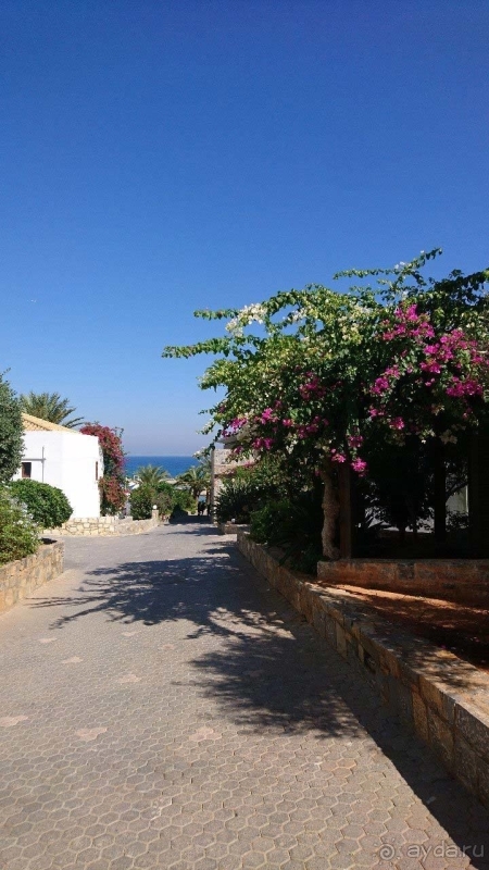 Вспоминаю с удовольствием...