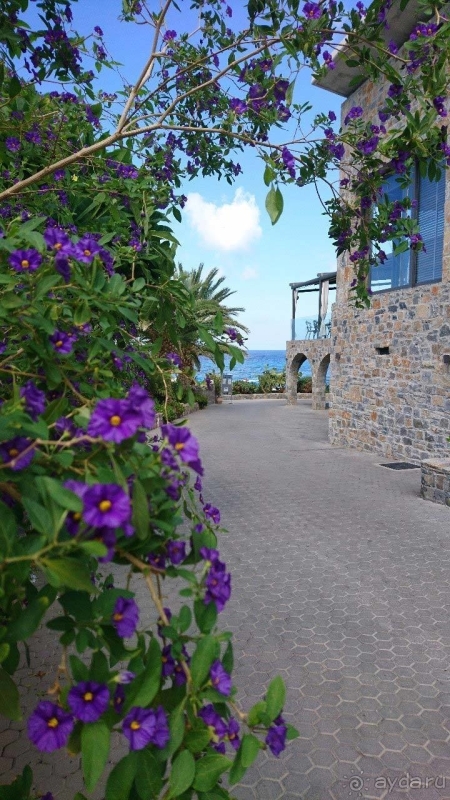 Вспоминаю с удовольствием...