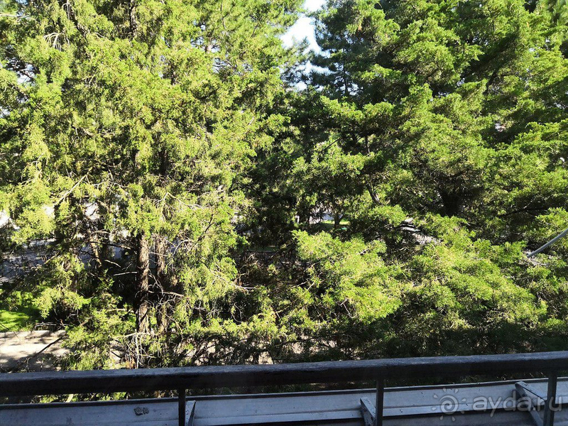 Удобно расположен, крутая анимационная программа, наличие магазина в отеле и вкусная еда