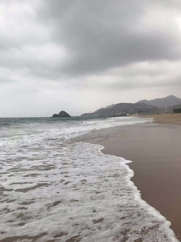 фото Miramar Al Aqah Beach Resort