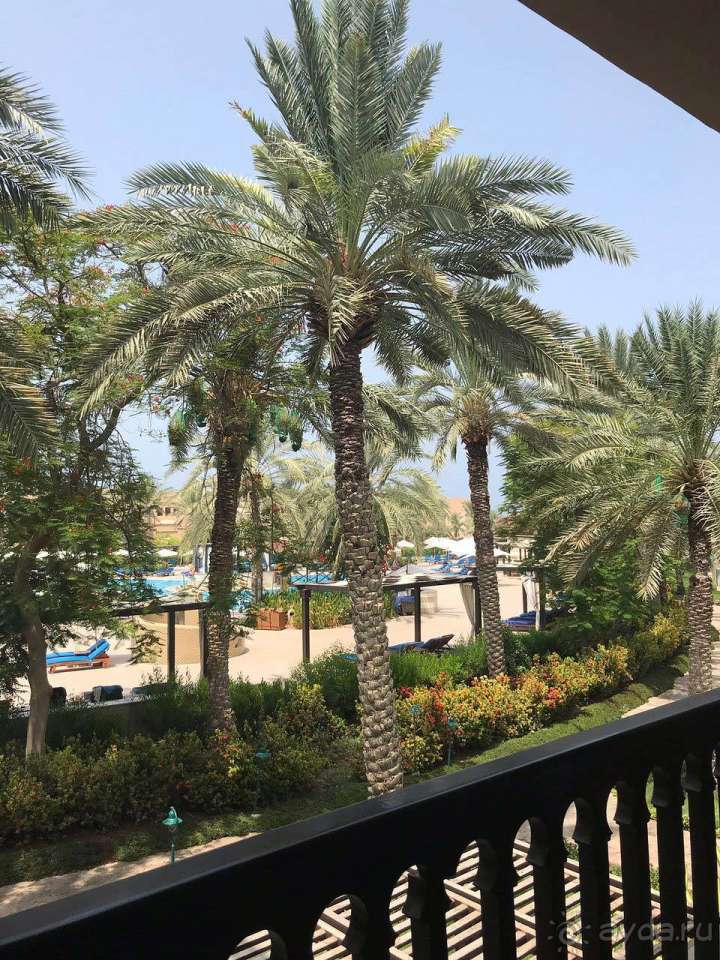 фото Miramar Al Aqah Beach Resort