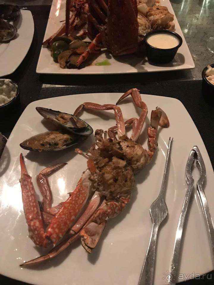 фото Miramar Al Aqah Beach Resort