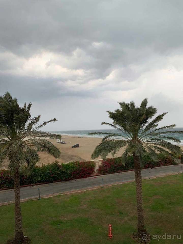 Сказка для семейного отдыха