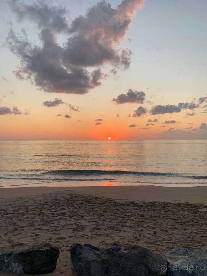 фото Miramar Al Aqah Beach Resort