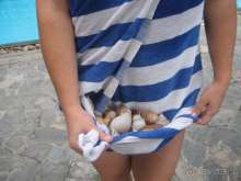 Не угадали сезон