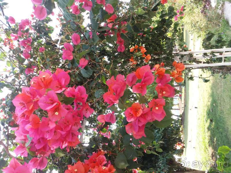 Отель для спокойного, уютного отдыха Отель для спокойного, уютного отдыха