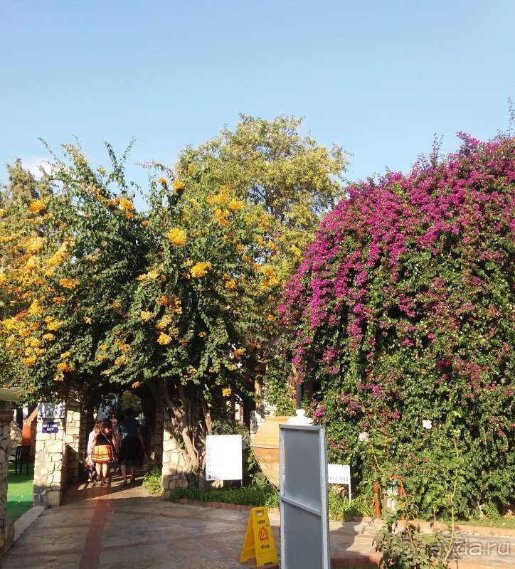 Отель для спокойного, уютного отдыха