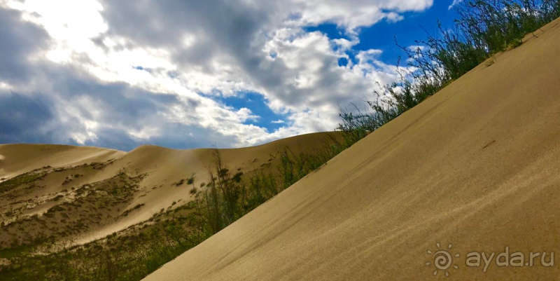 Сокровище страны гор
