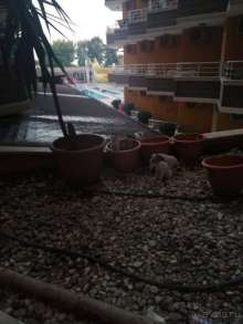 Не рекомендую!