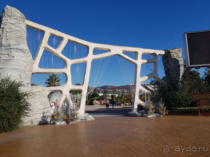 Семейный выходной в Сочи Парке