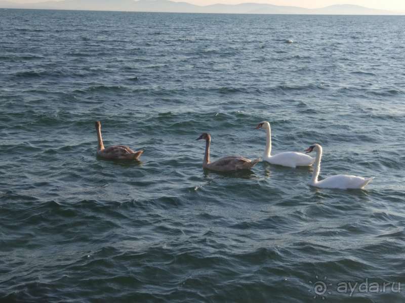 Рай для спокойного отдыха