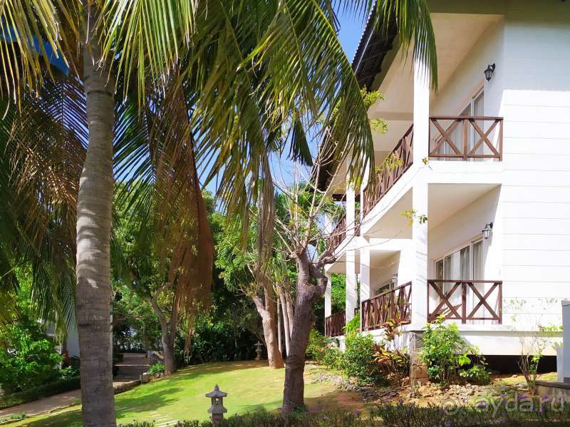 Отель Melon resort 