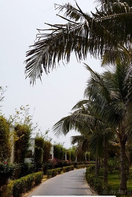 Камрань, Нячанг