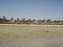 Что немцу хорошо - то русскому ....