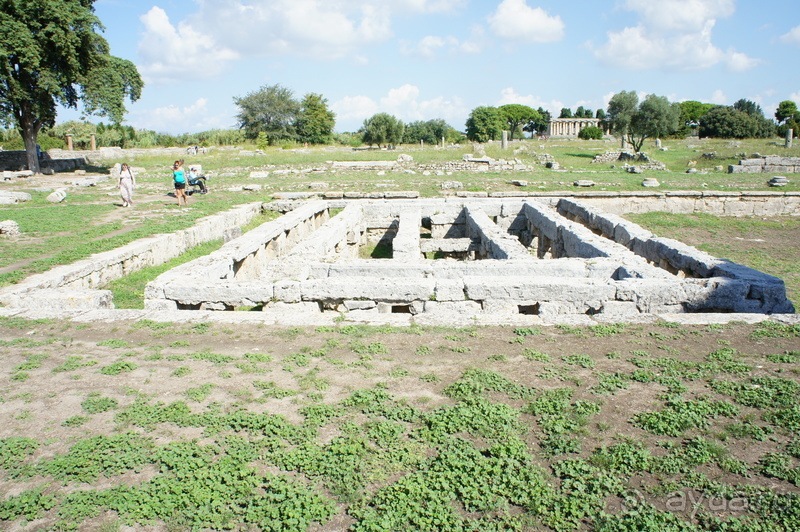 Альбом отзыва 