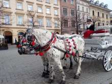 Королевский город- Краков