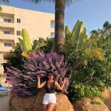 Отличное соотношение Цена/Качество