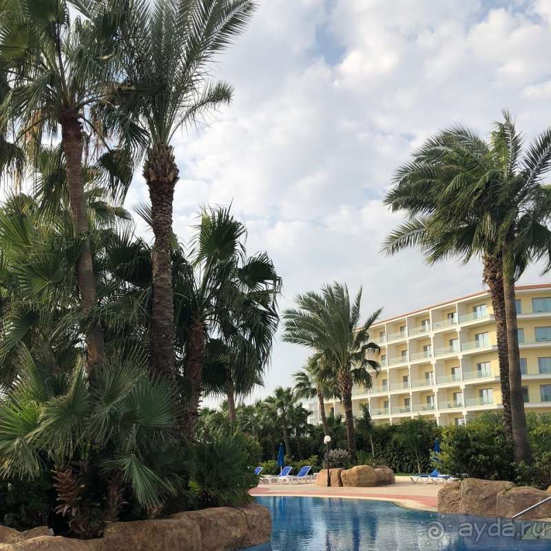 Отличное соотношение Цена/Качество