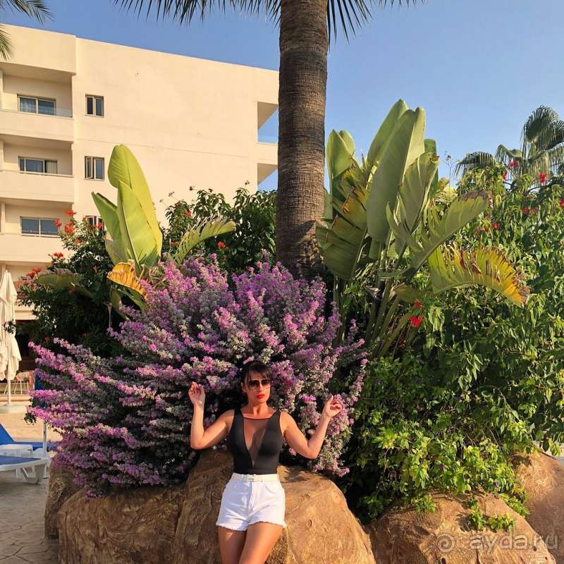 Отличное соотношение Цена/Качество