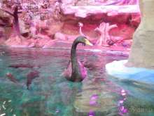 Санкт-Петербург с детьми за 4 дня