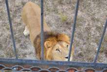 Альбом истории "Крым 2016, привет из прошлого! Или не так страшен черт, как его малюют."