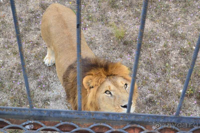 Крым 2016, привет из прошлого! Или не так страшен черт, как его малюют.