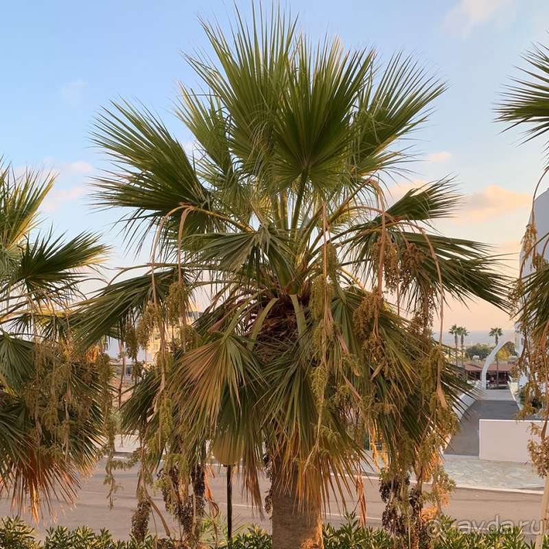 Старый ты, Corfu.