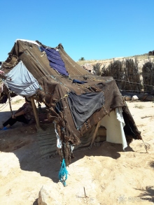 Тунис-жемчужина средиземноморья