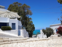 Тунис-жемчужина средиземноморья