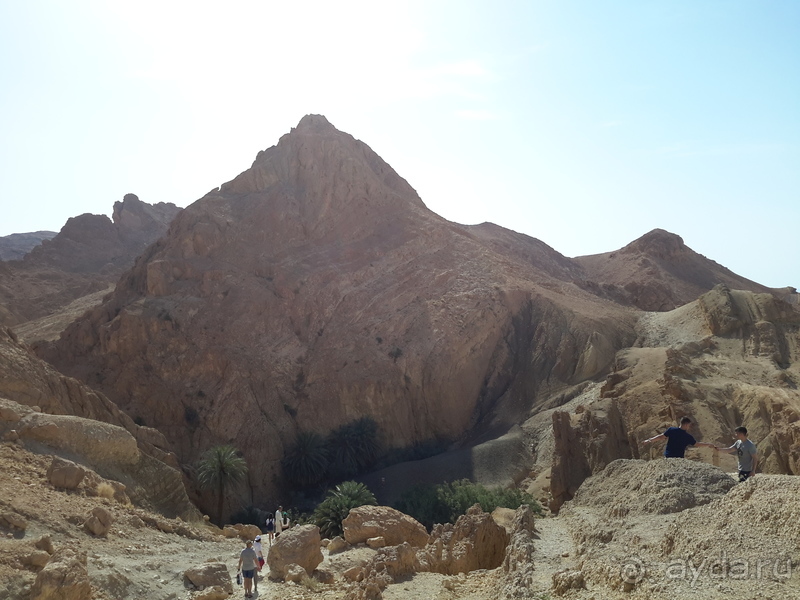 Тунис-жемчужина средиземноморья