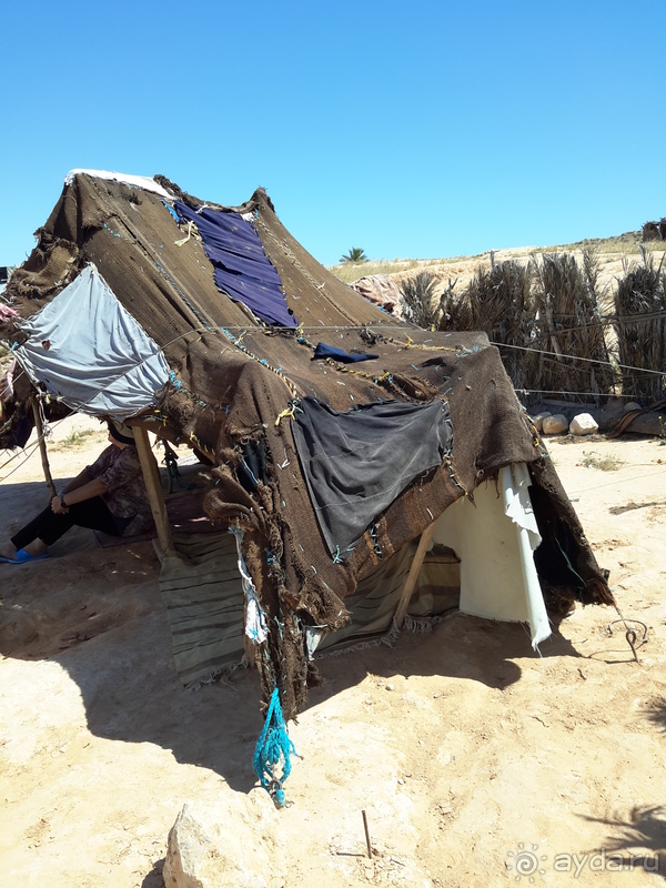 Тунис-жемчужина средиземноморья