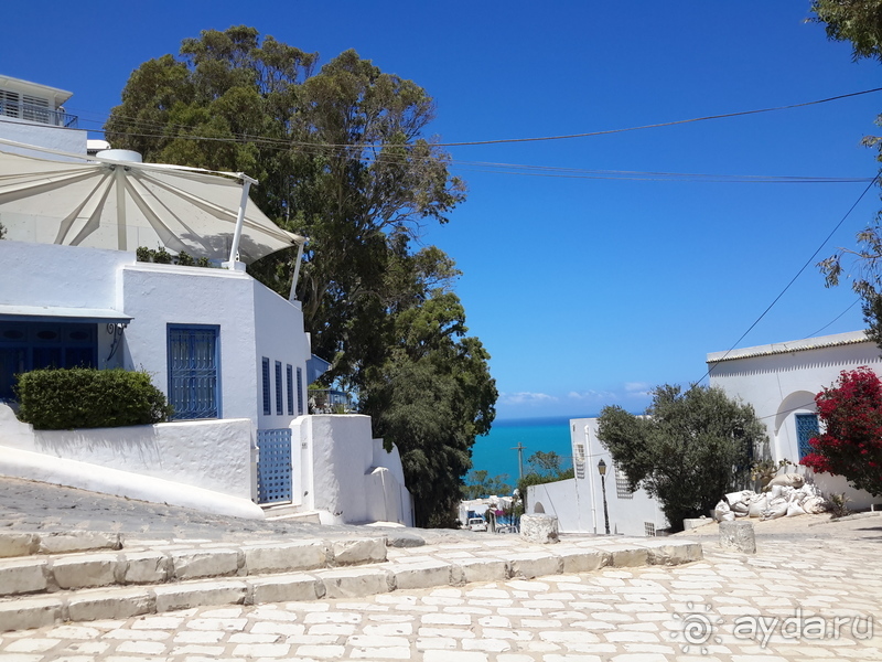 Тунис-жемчужина средиземноморья